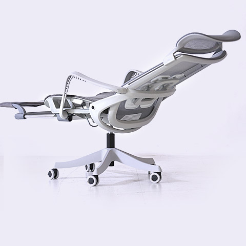 다온 시리즈 출시!!