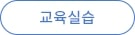 교육실습